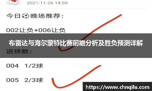 布雷达与海尔蒙特比赛前瞻分析及胜负预测详解