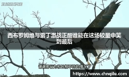 西布罗姆维与雷丁激战正酣谁能在这场较量中笑到最后