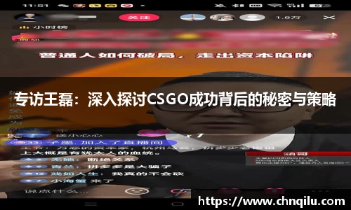 专访王磊：深入探讨CSGO成功背后的秘密与策略