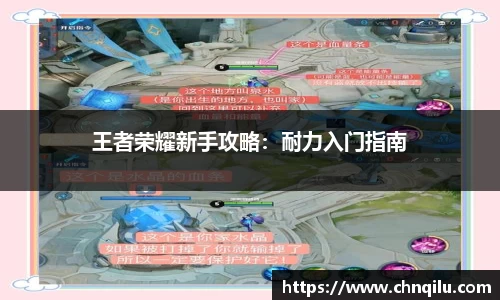 王者荣耀新手攻略：耐力入门指南